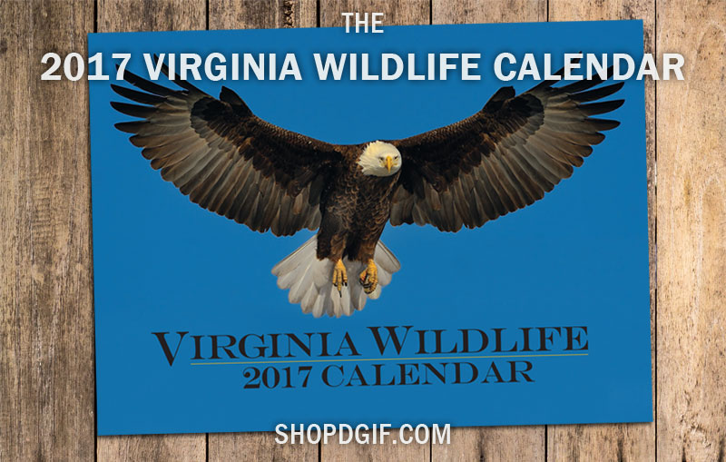 Ricky Simpson 拍攝的2017 DWR 日曆封面圖片