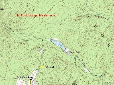 克利夫頓福格雷斯