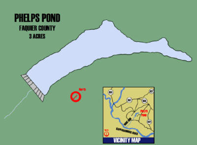 費爾普斯 _ 龐德