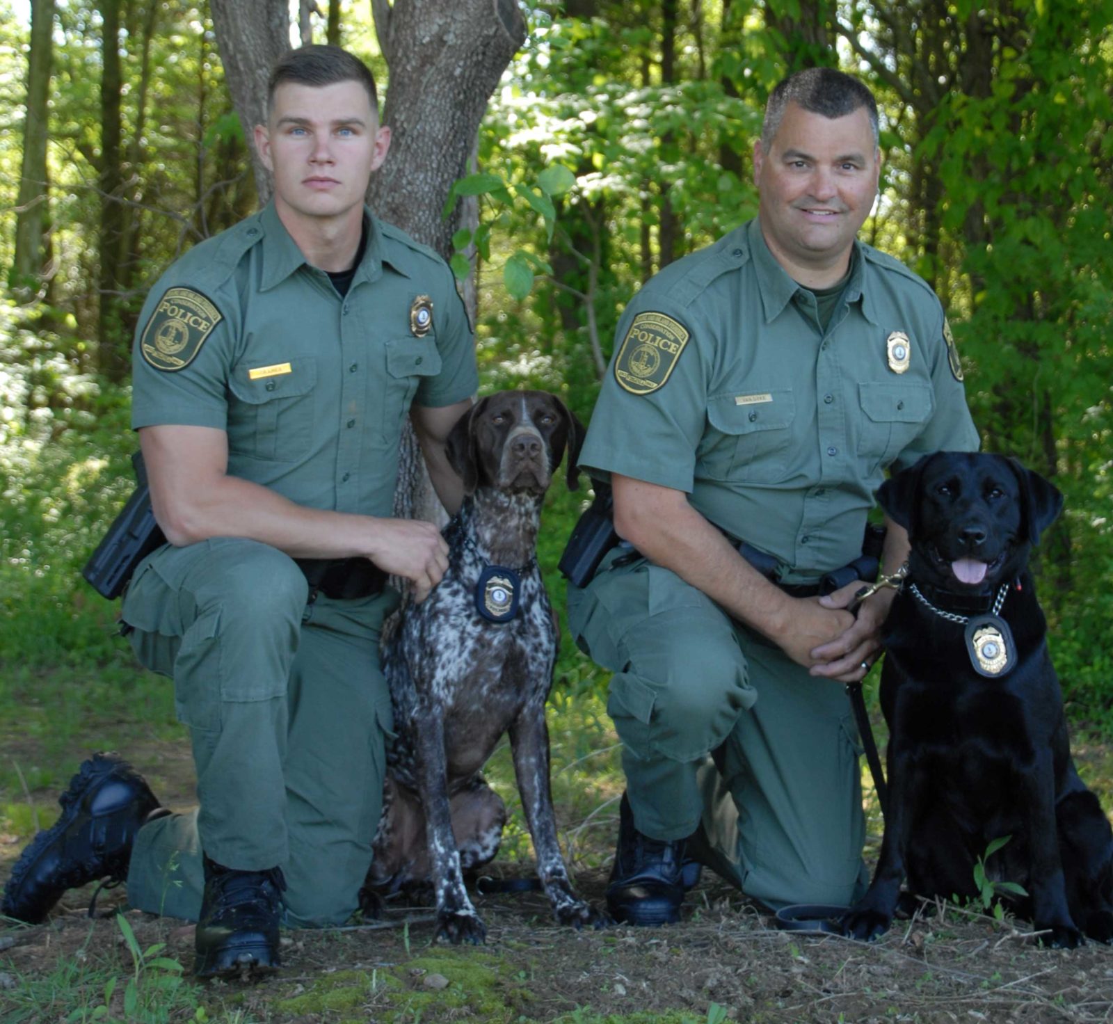 來認識一下 DWR 的兩位最新犬類特工：黑色拉布拉多犬 Avery 和指示犬 Waylon！