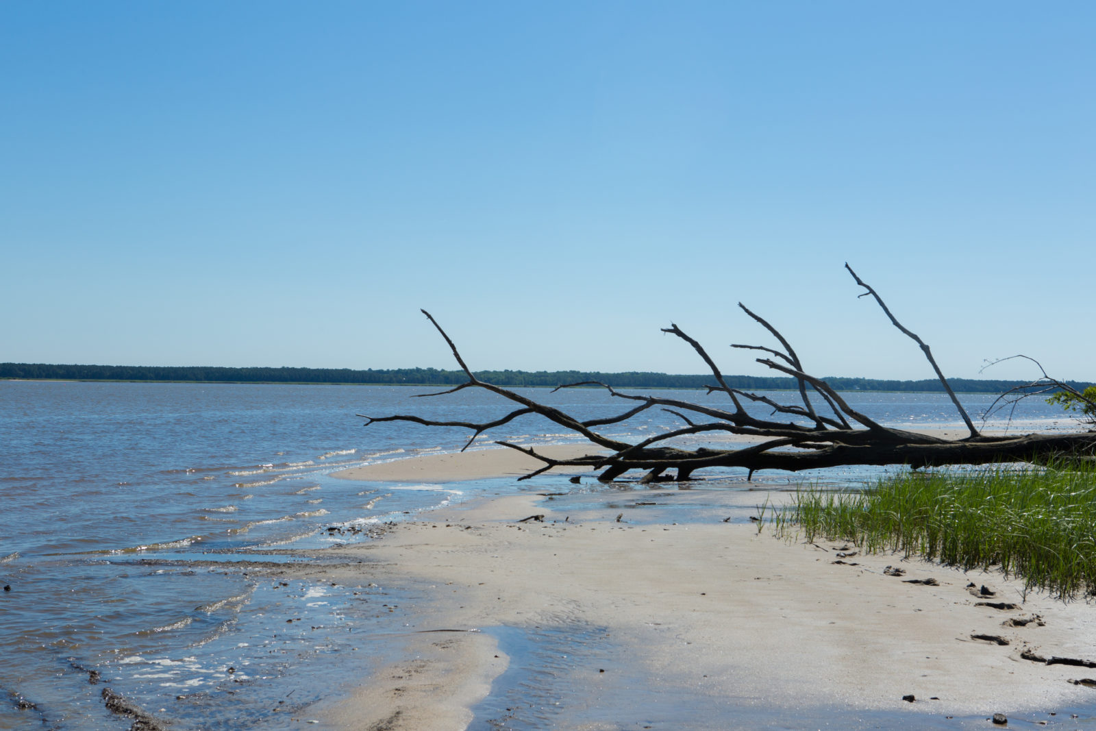 韋爾溪 WMA 有可愛的海灘可以探索