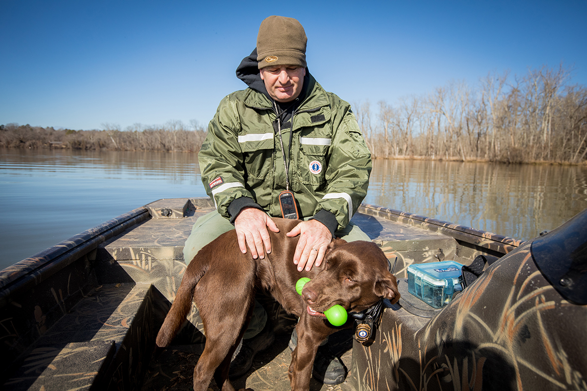 在 K 9 成功完成香味工作後,他們就會獲得遊戲獎勵,就像通常搜索文章一樣。