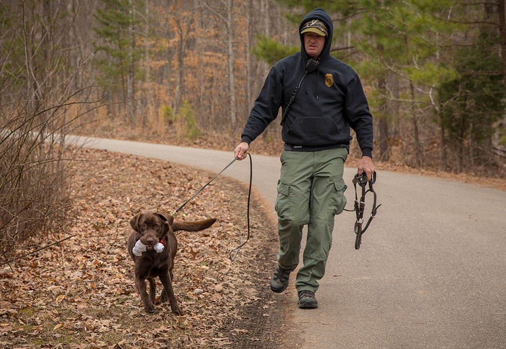 完成訓練練習後戴著玩具繩的狗 Molly 的圖像 