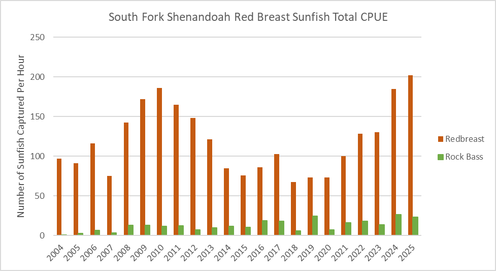 按年劃分的南堡 Shenandoah 河紅胸太陽魚和岩貝魚的總捕獲量條形圖。