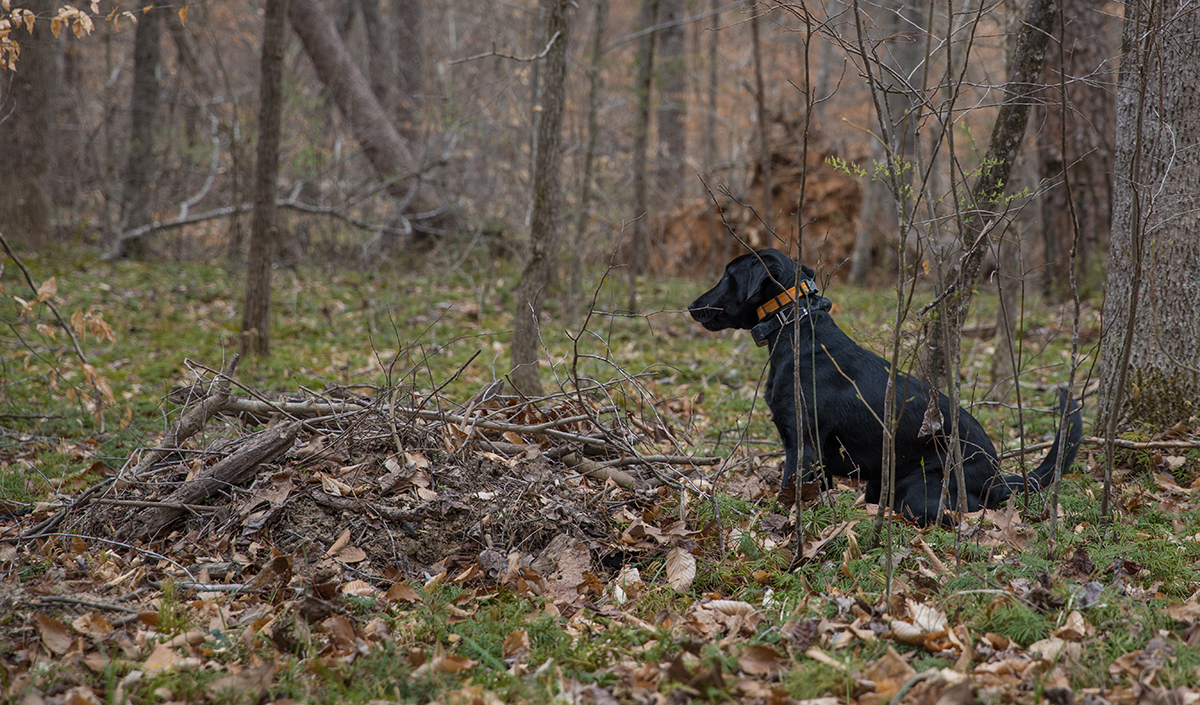 格蕾絲坐著警告她發現了東西。