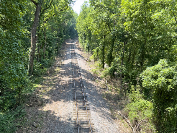 火車軌道上的橋樑允許在樹頂觀鳥。在遷移過程中尋找雀。照片來源：麗莎·米斯