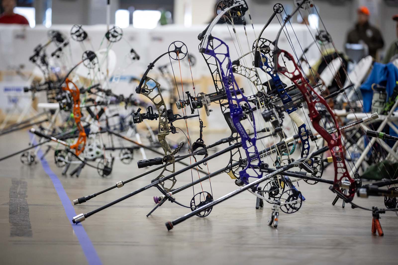 與此主題相關的影像