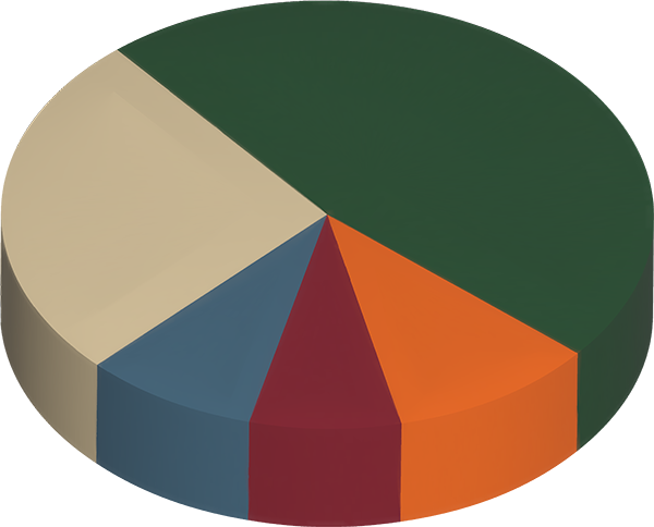 顯示 DWR 資本項目類別的圓餅圖