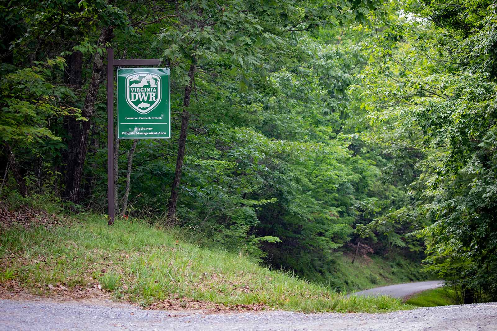 我們如何獲得資金和我們如何支出