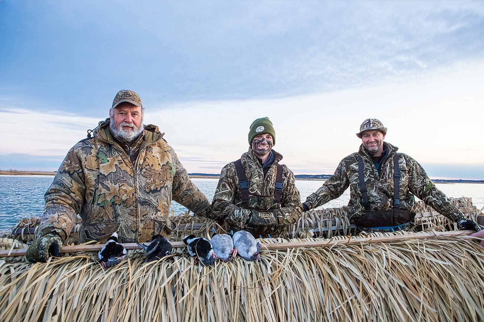 您可以如何提供幫助