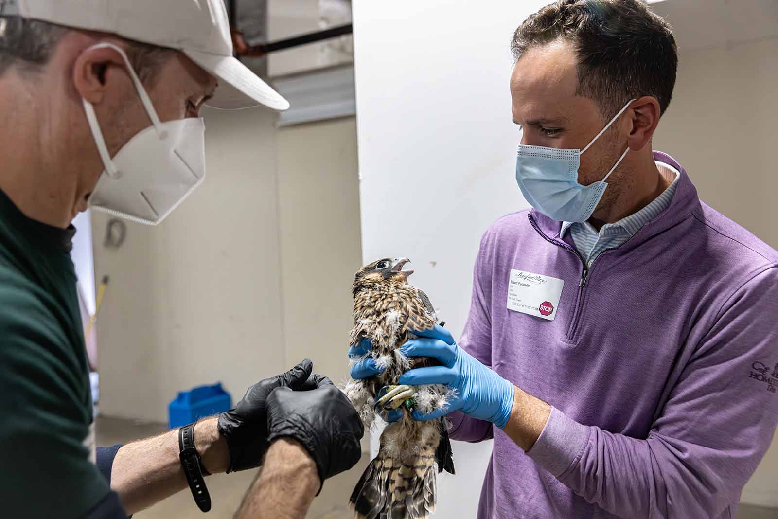 Triple Crossing 啤酒