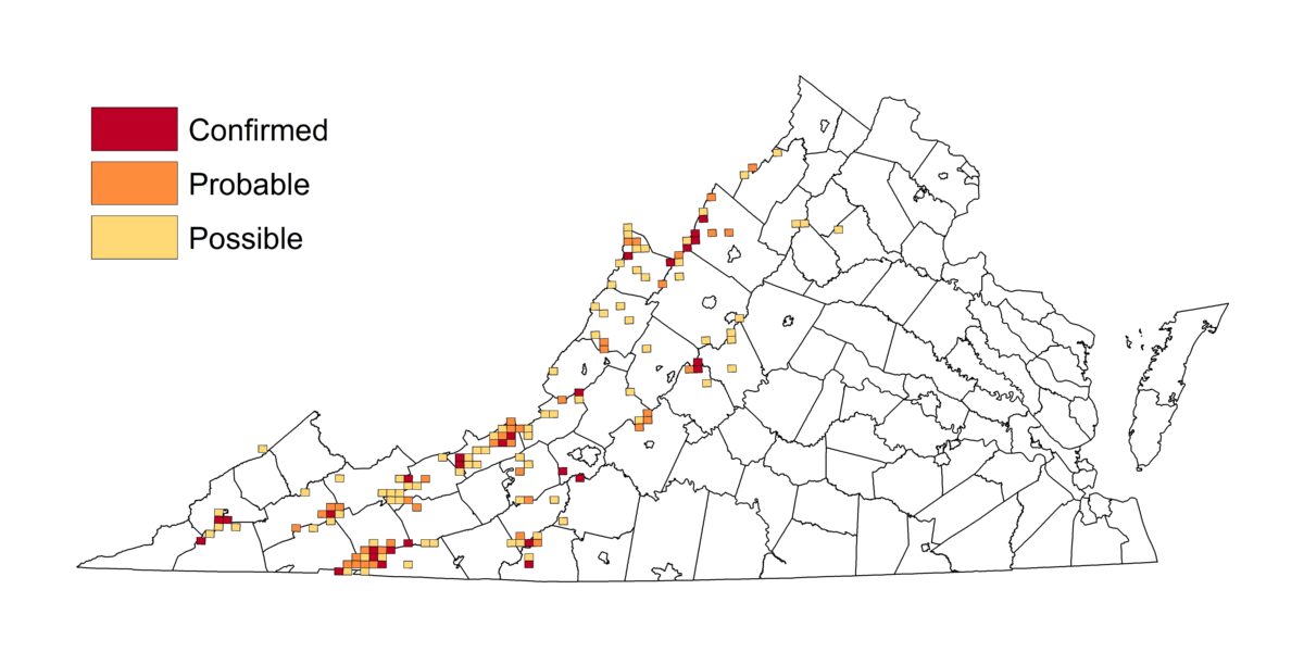 一張地圖顯示了黑喉藍鳥的地點；地圖上的觀察物與阿帕拉奇山脈相符。