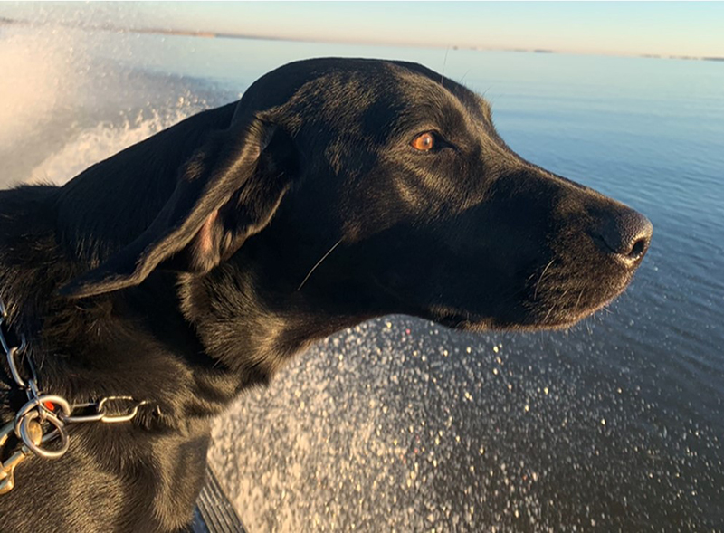 貝利乘船,俯瞰地平線