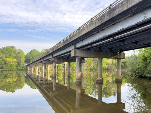 US-501 橋是懸崖燕窩殖民地的重要巢穴