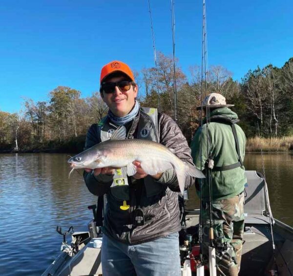 一個男人握住的藍色貓魚的圖像
