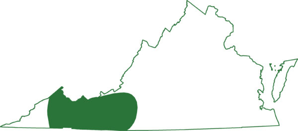 藍嶺深色的山鼠山脈地圖