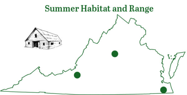 巴西自由尾蝙蝠範圍地圖