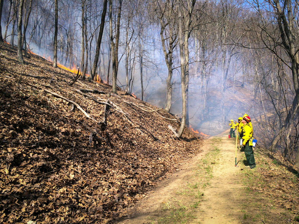 燒錄發生之前建立的控制線的影像