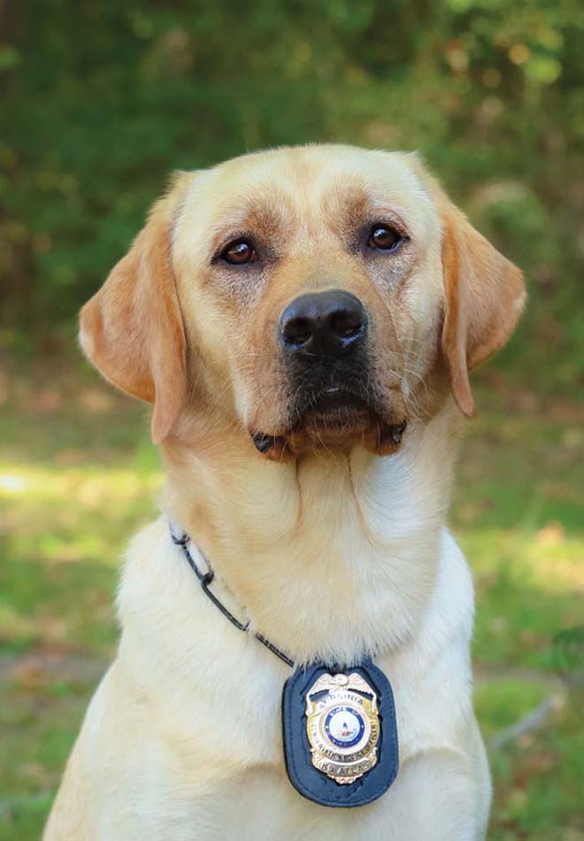 K 9 阿特拉斯圖片