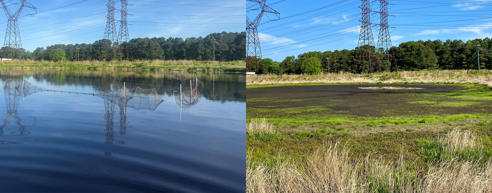 Two photos placed side by side of a pond site, with it full of water on the left and drained of water and just mud ont he right.