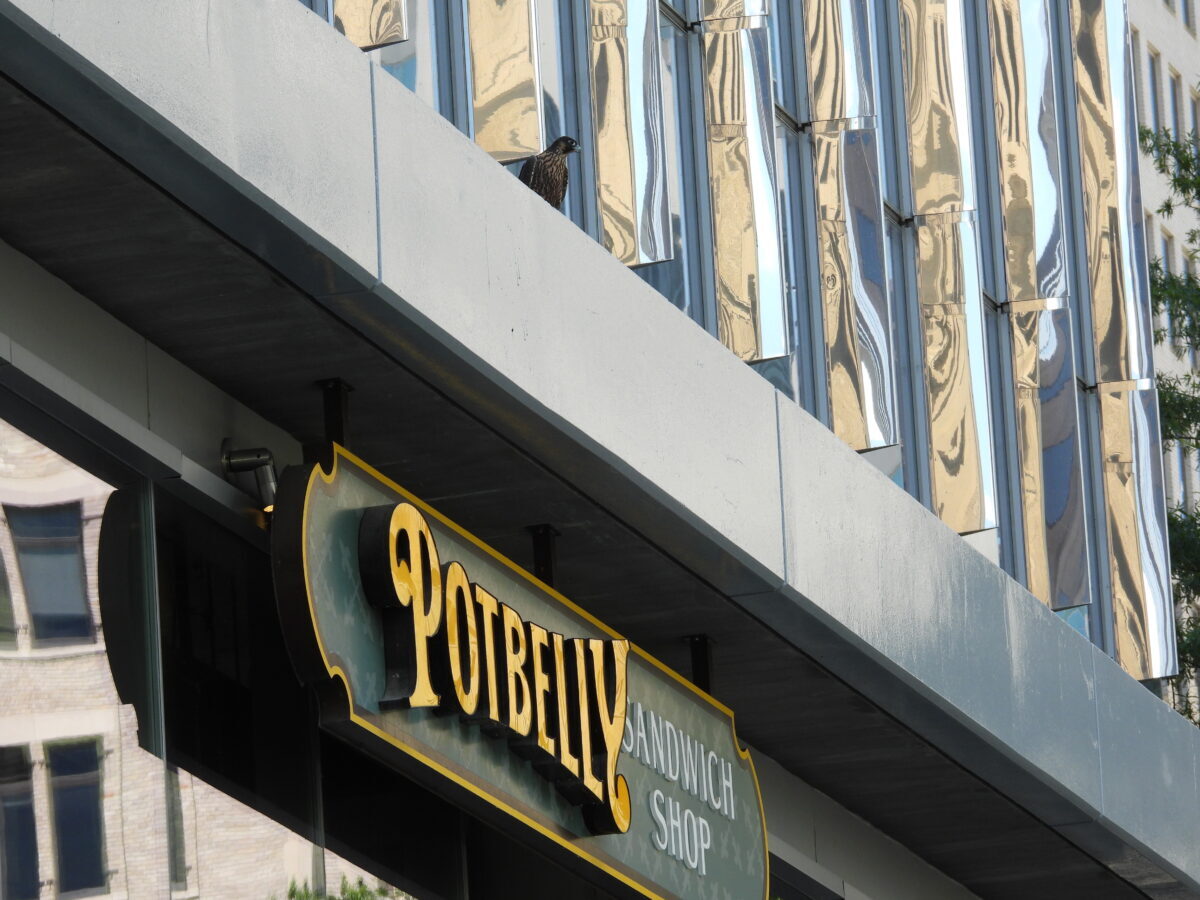 東華銀行大廈三明治店「橙色」