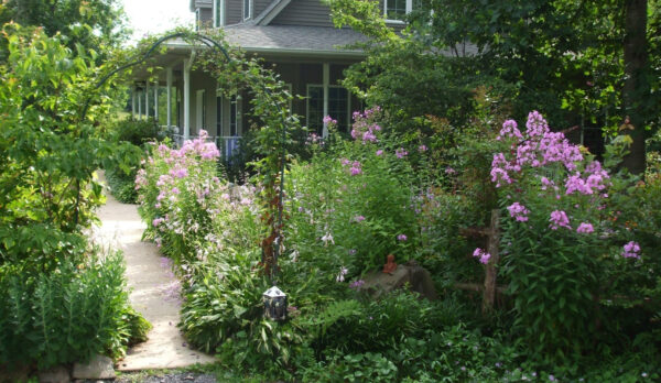 為野生動物吸引而種植的多層花園的圖像