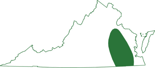 東部警報器在東弗吉尼亞州的某些地區發現