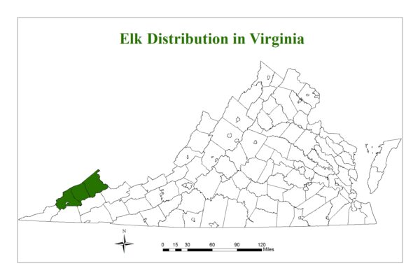 鹿在弗吉尼亞州的三個縣發現