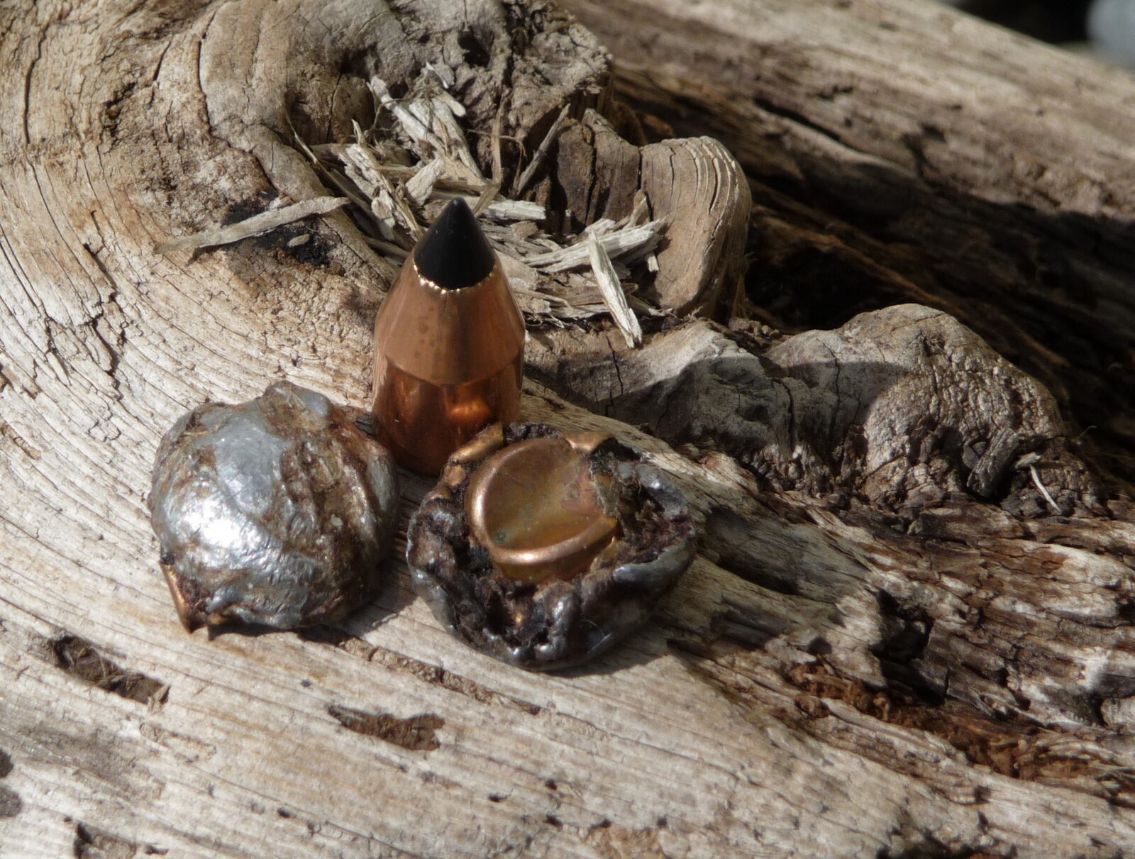 一塊木頭上用過的鼻子裝備子彈的圖像