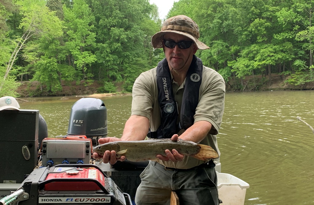 一位生物學家抱著一條長流線型身和橄欖棕色的蝴蝶魚的圖像。