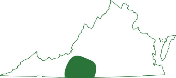 扁頭山鼠在弗吉尼亞中部的單一地區發現