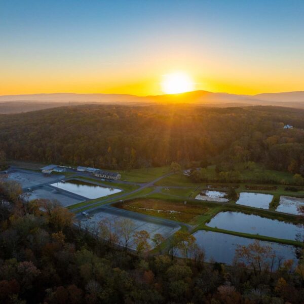 前皇家孵化場鳥瞰圖