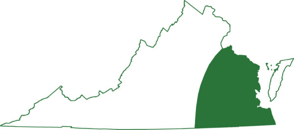 弗吉尼亞州沿岸平原的大警報器發現在