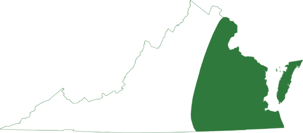 綠色樹蛙在整個州東部地區，包括屏障島嶼