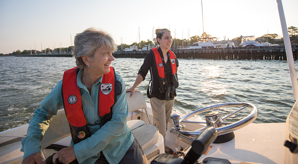 DWR 生物學家 Ruth Boettcher 和 Meagan Thomas 來到 Rip Raps 島檢查海岸築巢遷移計畫。