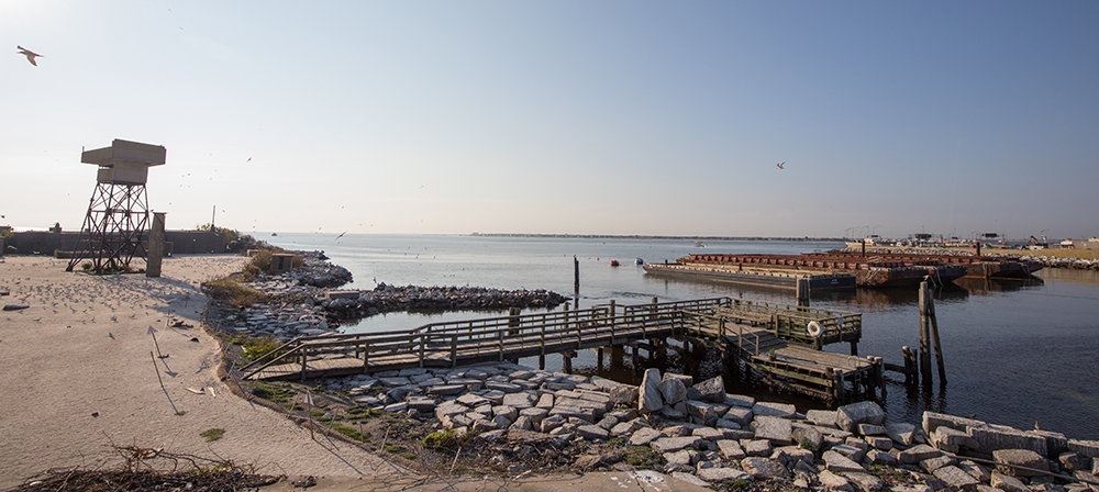 一部分新裝修的沃爾堡(Fort Wool),其中包括附近的一些駁船,以提供額外的巢棲息地。