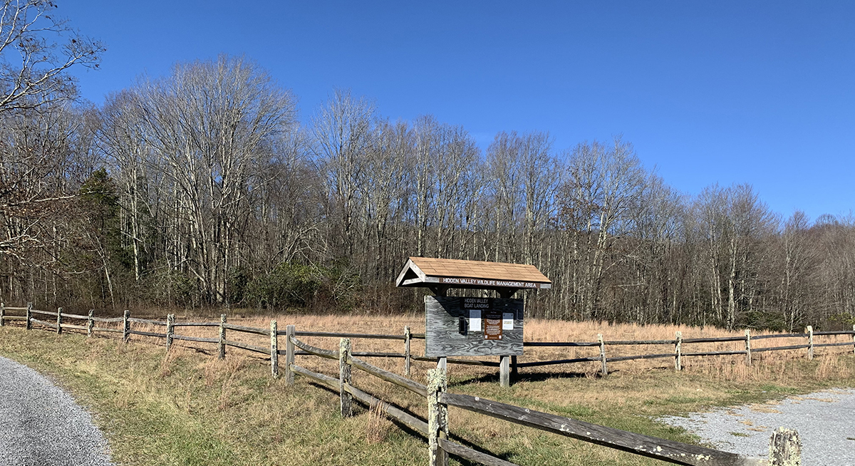 使用除草劑後，未來的植物植物在隱藏谷 WMA 進行了土地，並消滅不良的植物種。