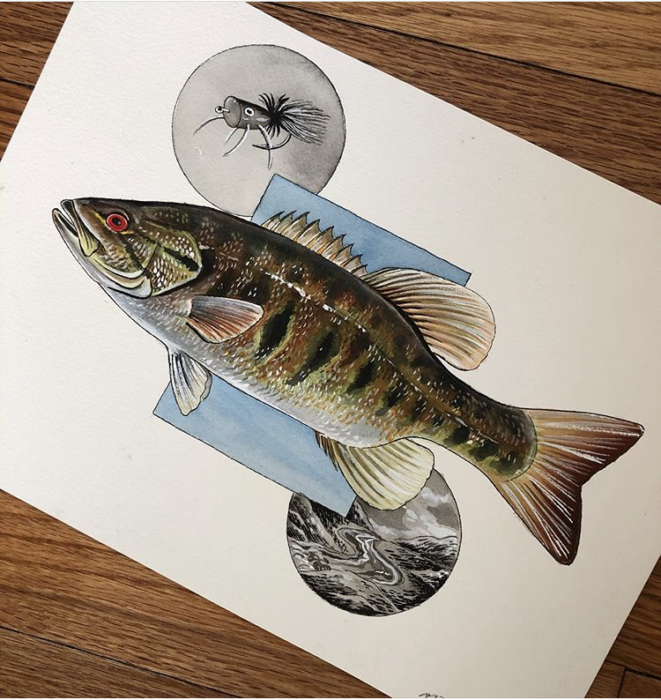 描繪大烏貝和釣魚釣魚誘惑的藝術品圖像