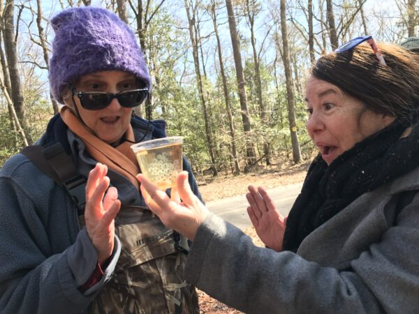 兩個女人看著一杯斑點山鼠蛋