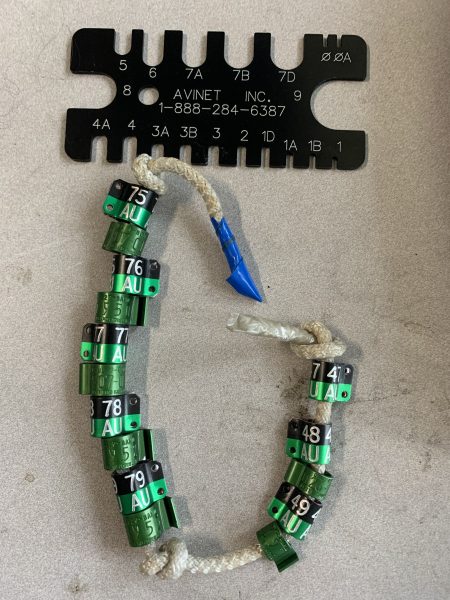 未使用的錶帶和腿部尺寸工具。雌性獵鷹佩戴尺寸 7 A 錶帶，男性則佩戴 6 號錶帶。