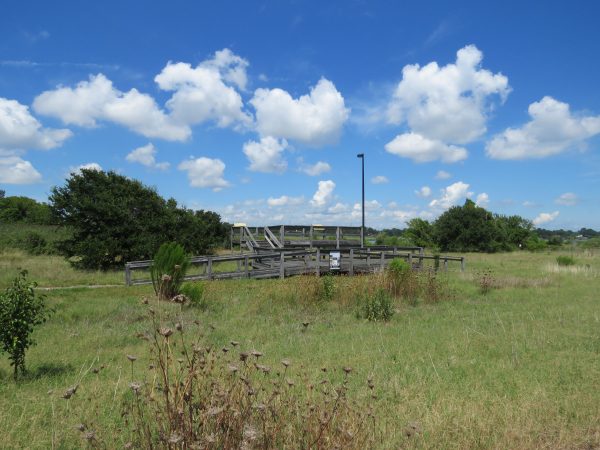 建於俯瞰米爾克里克的草地上的木製野生動物觀測平台的圖像