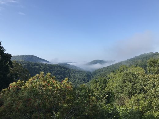 樹林山的圖像