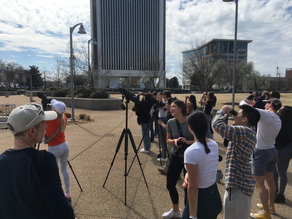 里士滿大學城市生態與演化課程和 DWR 生物學家正在監測獵鷹