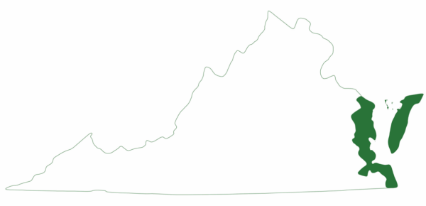 肯普里德利的海龜僅在弗吉尼亞州下東海岸發現