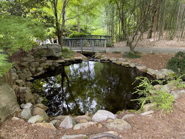 亞洲谷是一個安靜的冥想空間。竹林後方可以聽到東部的尖頭。照片來源：麗莎·米斯