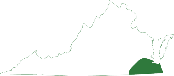 小草青蛙在弗吉尼亞州東南部地區發現