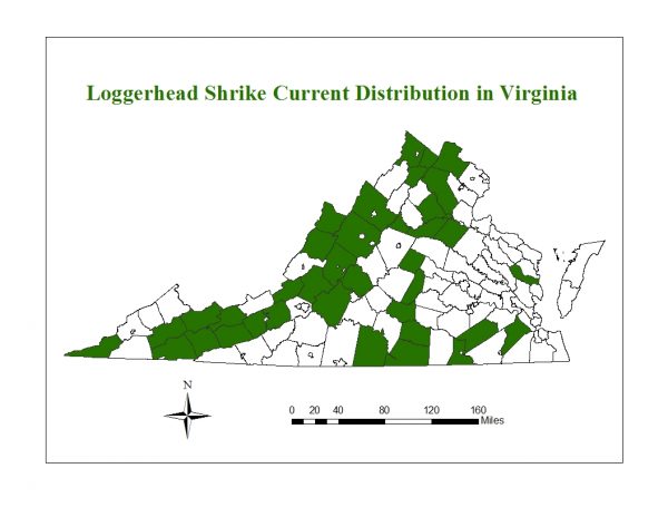 龍頭蛇是一種受威脅性物種，在弗吉尼亞州各地散落的群體中發現