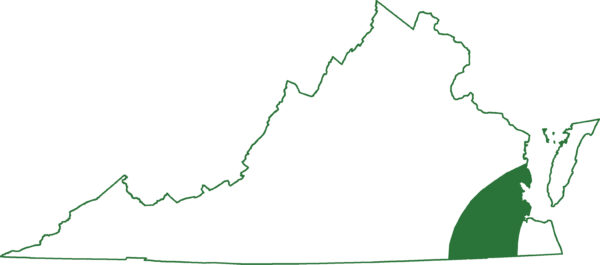 馬比山鼠在弗吉尼亞州最南部地區沿海平原沿岸平原發現