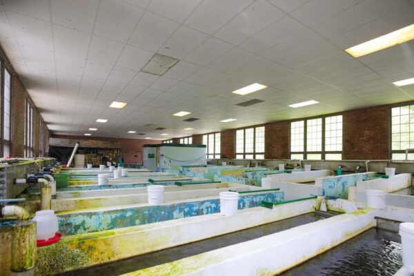 室內混凝土飼養賽道。