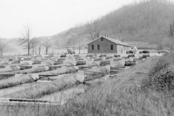 黑白圖片：Marion 養魚場歷史悠久的賽道